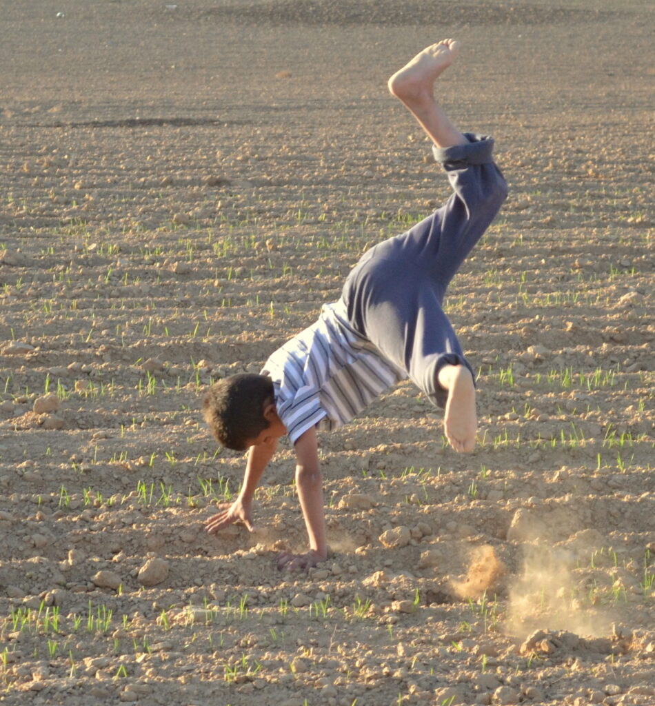 A young boy wearing jeans and a t-shirt, barefoot and cartwheeling on wheat plants.